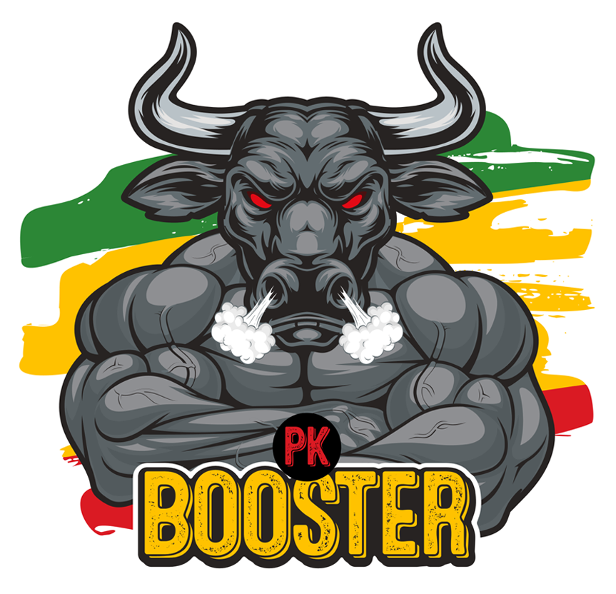 Lion PK-BOOSTER 5000ML