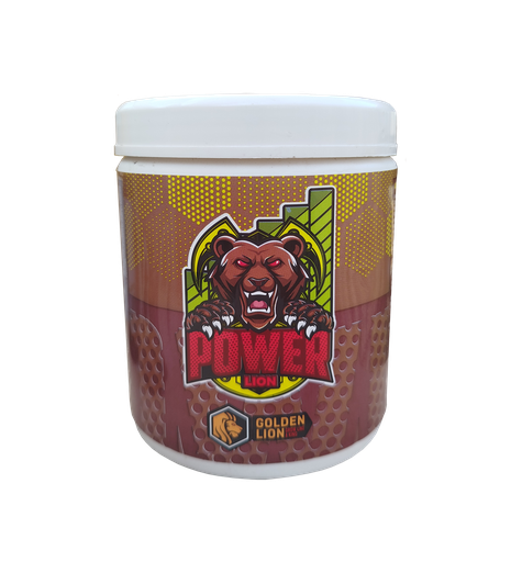 [6189] Lion POWER 500 GR